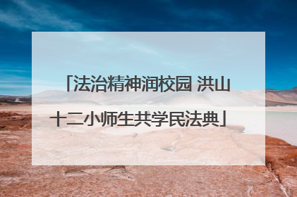 法治精神润校园 洪山十二小师生共学民法典